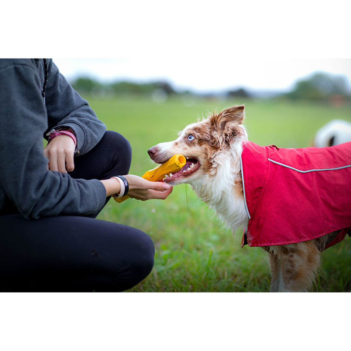 Ruffwear Hundespielzeug Gnawt-a-Stick