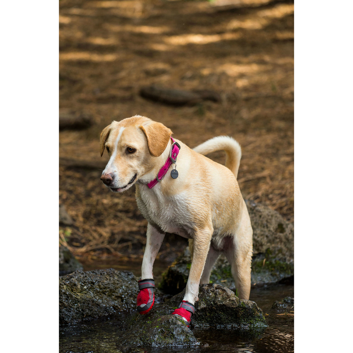 Ruffwear Grip Trex Hundeschuhe
