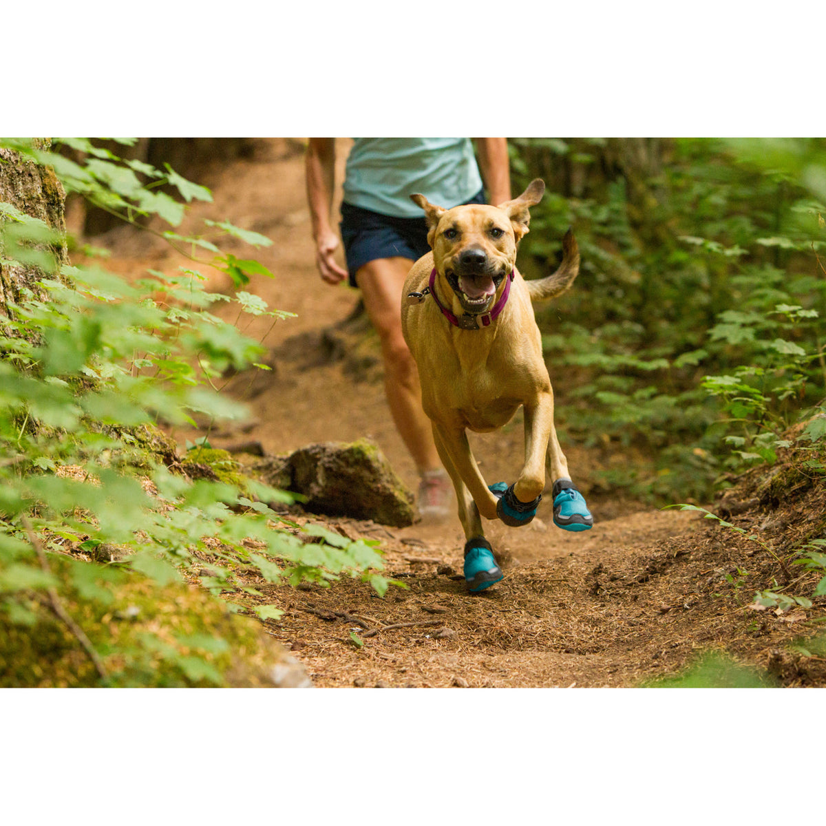 Ruffwear Grip Trex Hundeschuhe