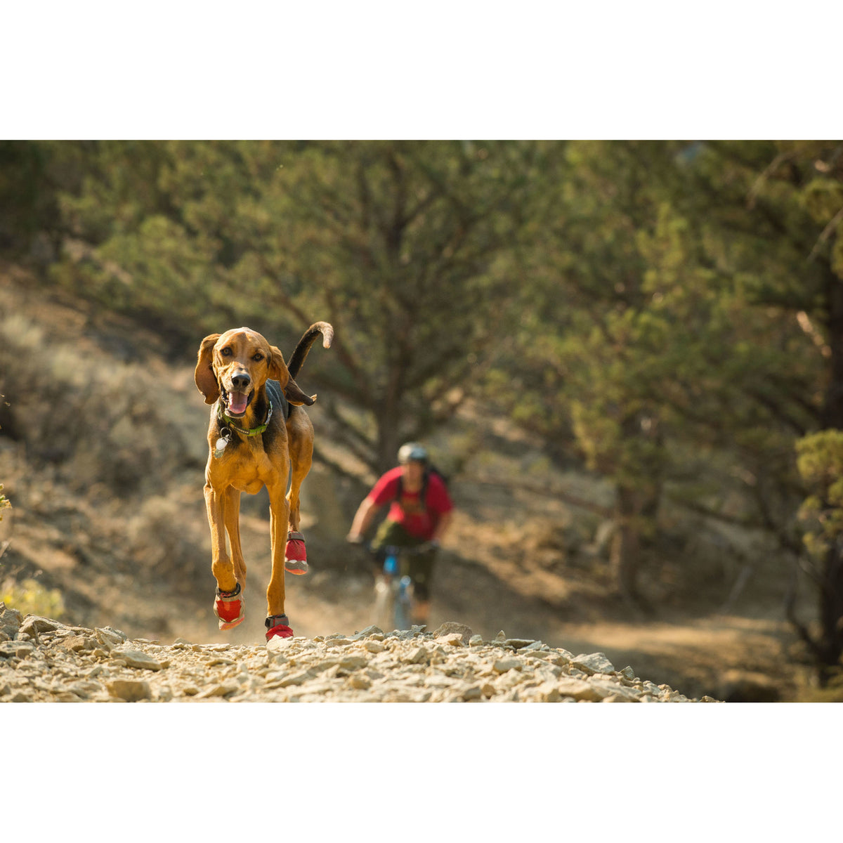 Ruffwear Grip Trex Hundeschuhe