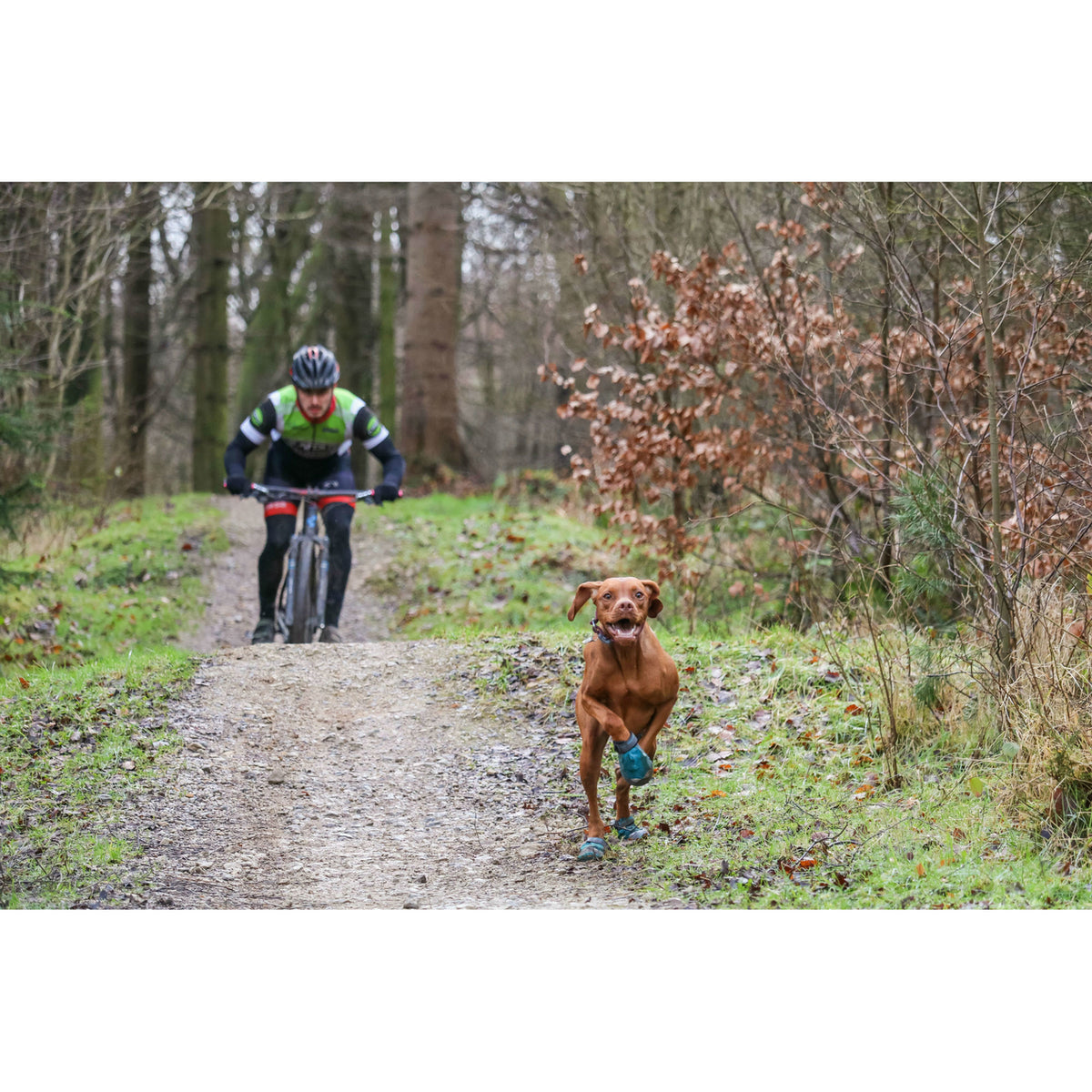Ruffwear Grip Trex Hundeschuhe