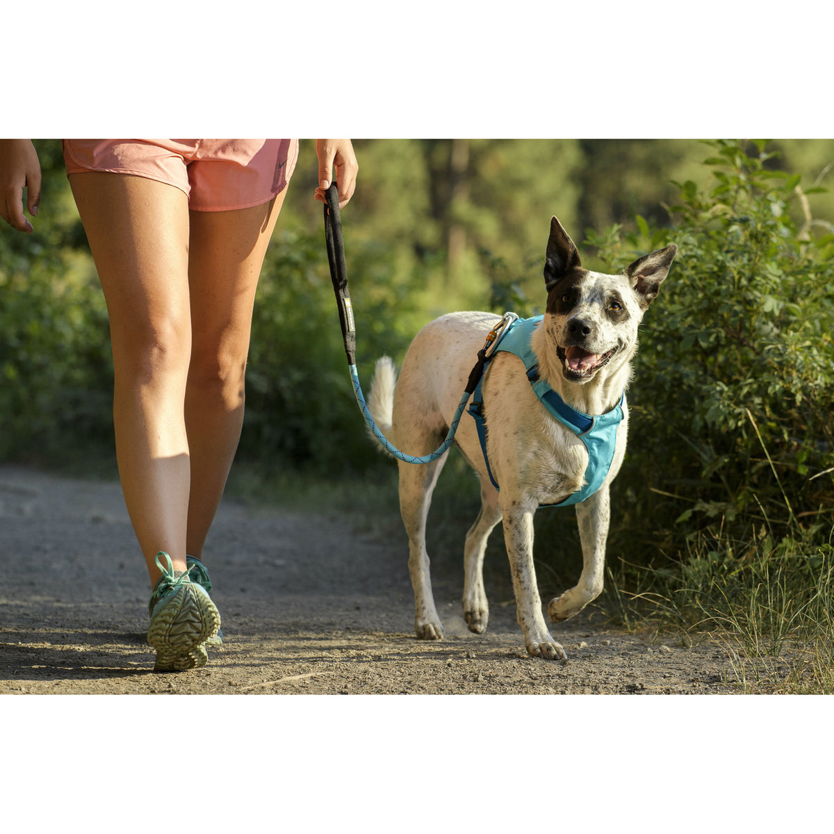 Ruffwear Hi Light Harness Hundegeschirr