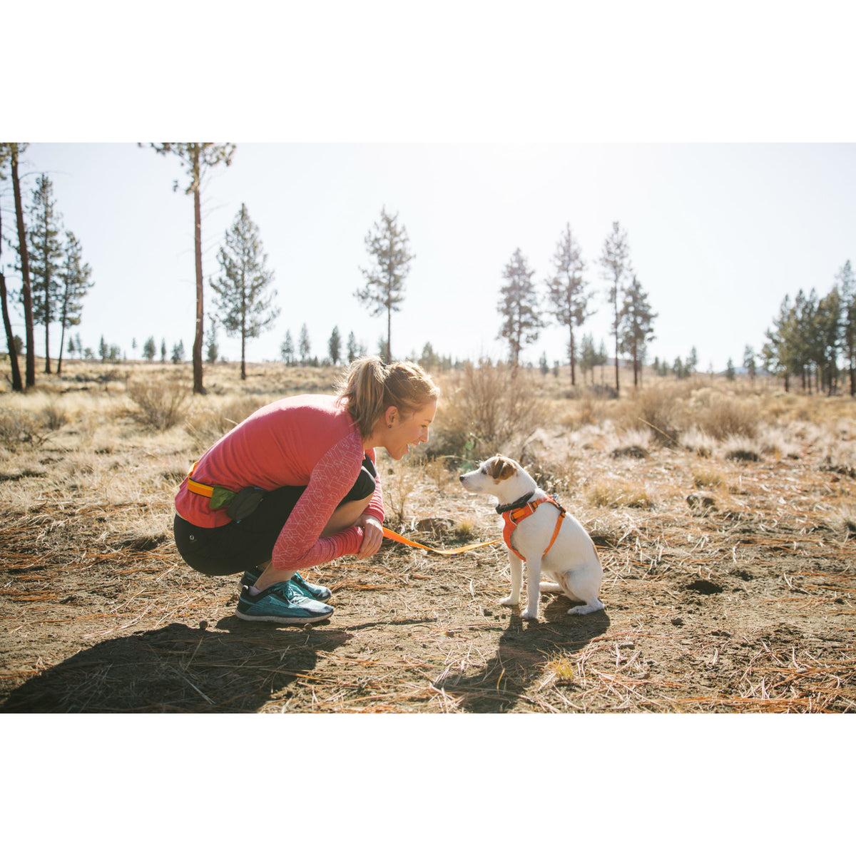 Ruffwear Hi Light Harness Hundegeschirr