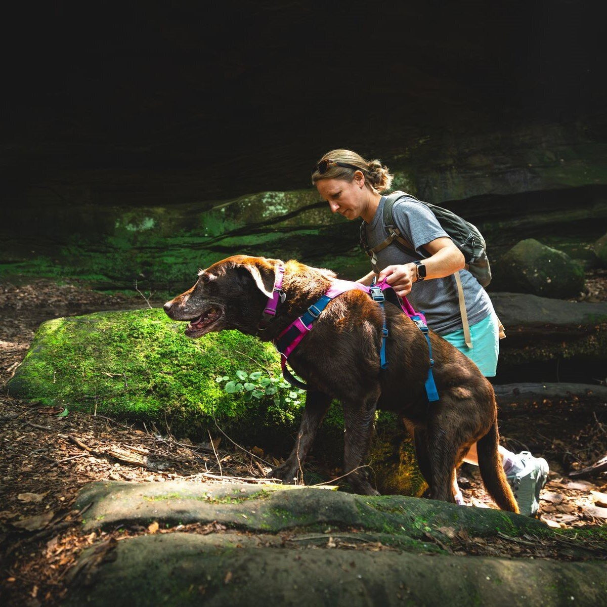 Ruffwear Hundegeschirr Flagline