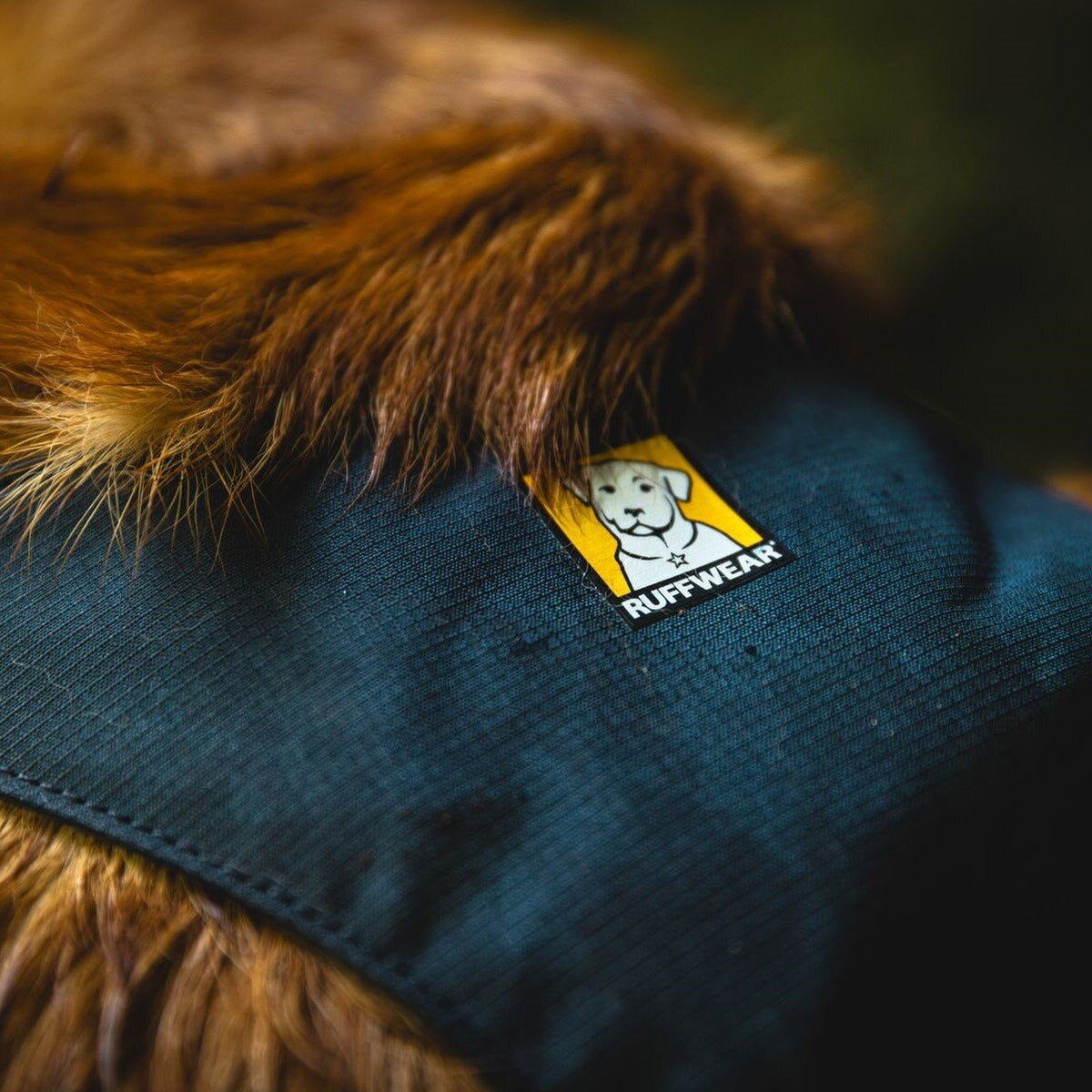 Ruffwear Hundegeschirr Flagline