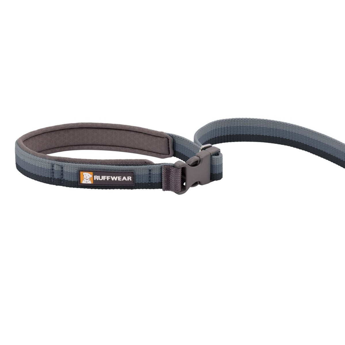Hundeleine Roamer Leash