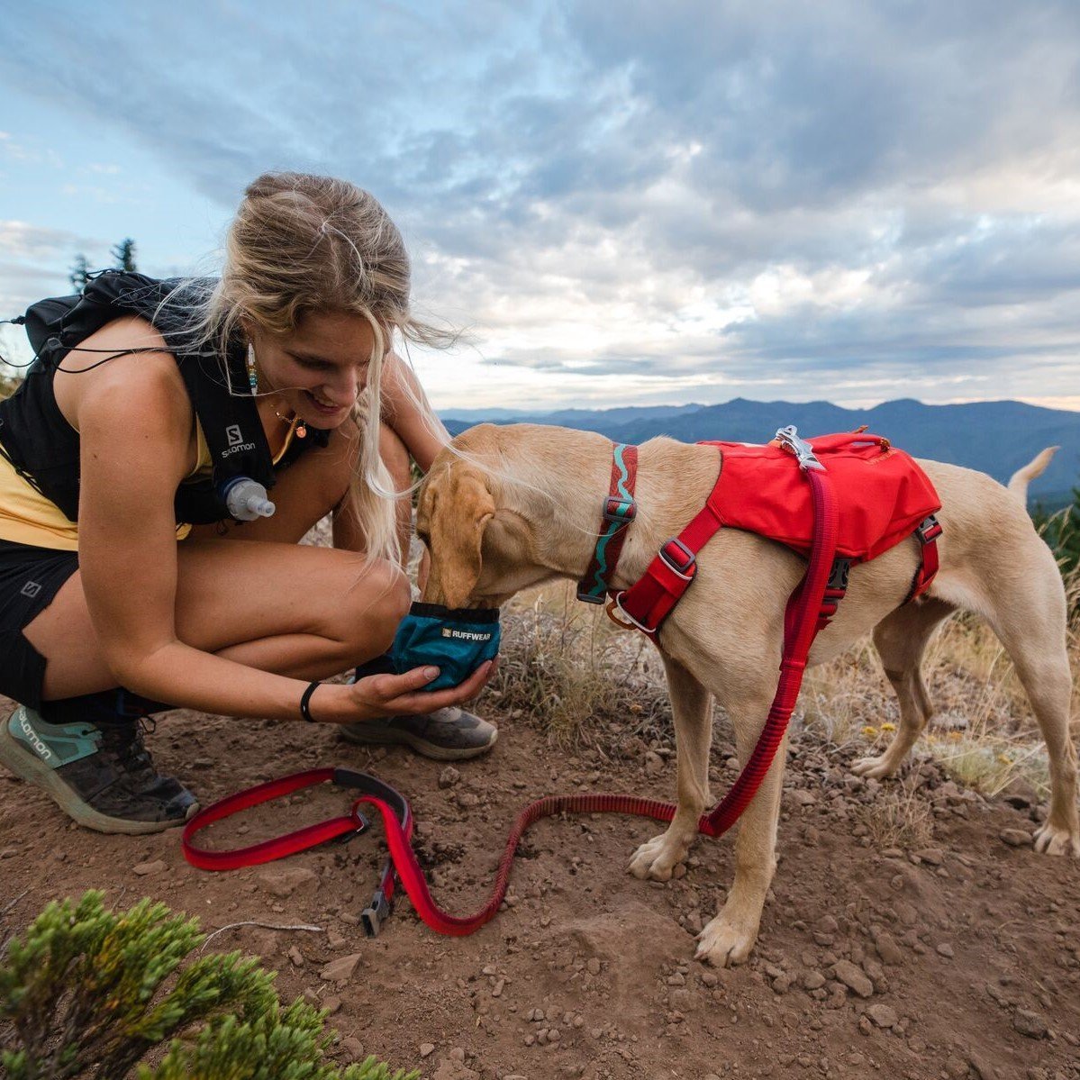 Hundeleine Roamer Leash