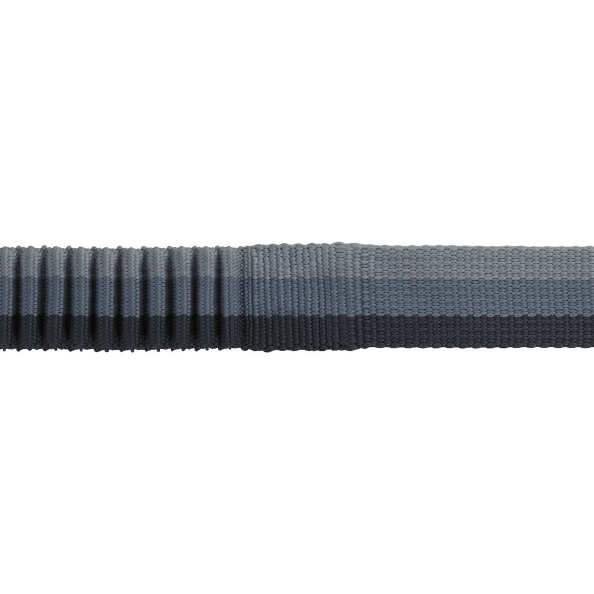 Hundeleine Roamer Leash