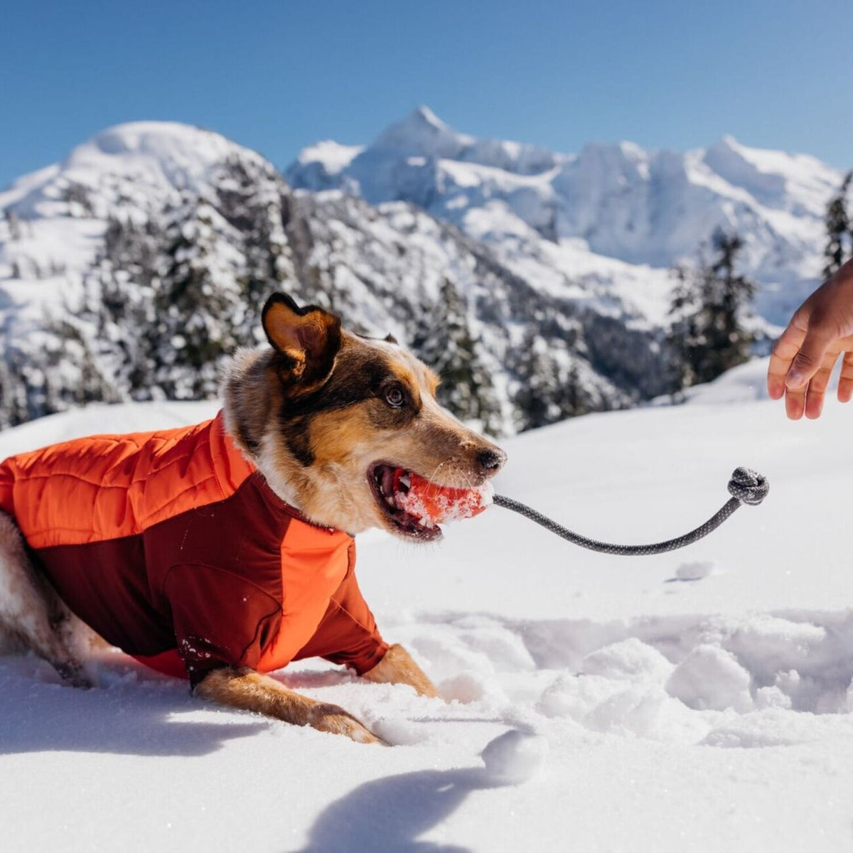 Hundespielzeug Huck-a-Cone mit Seil