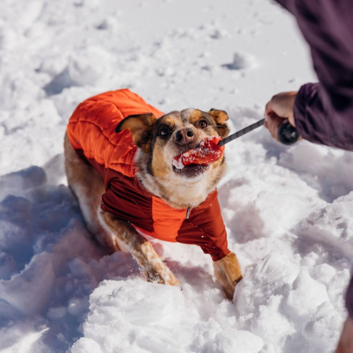Hundespielzeug Huck-a-Cone mit Seil