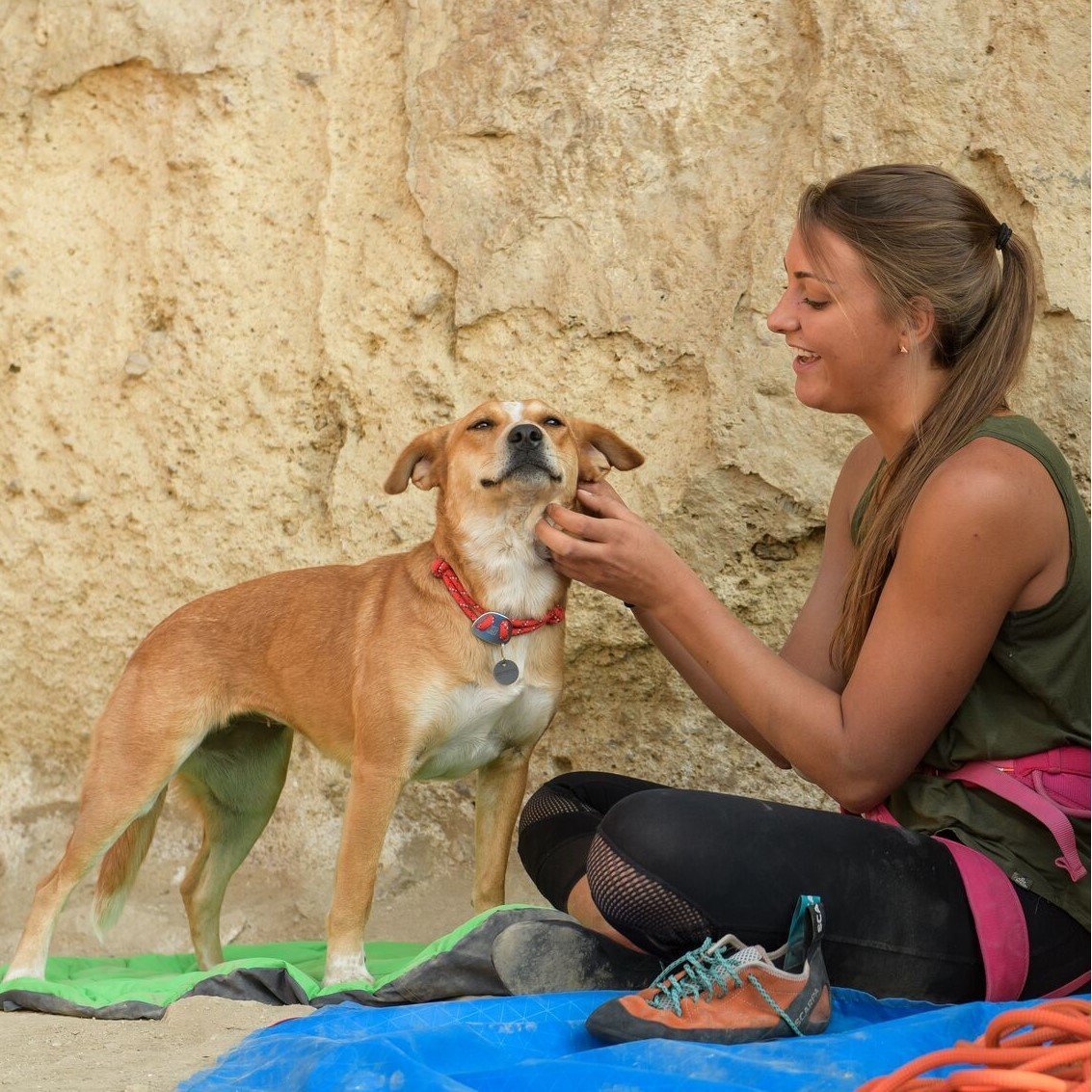 Ruffwear Knot-a-Collar Hundehalsband