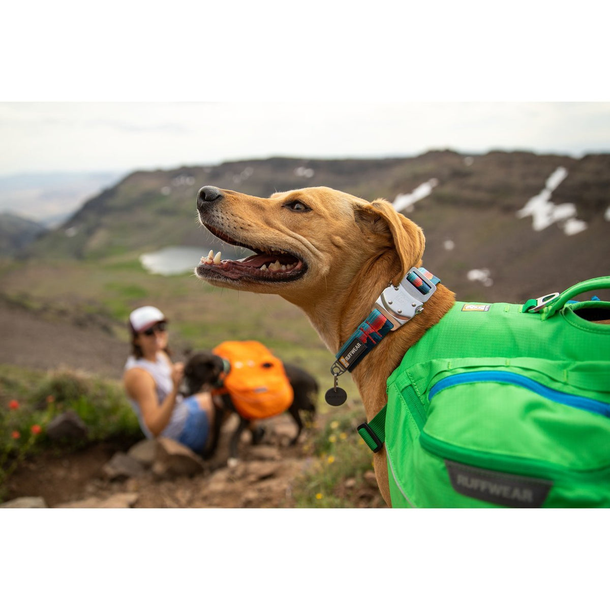 Ruffwear Top Rope™ Hundehalsband