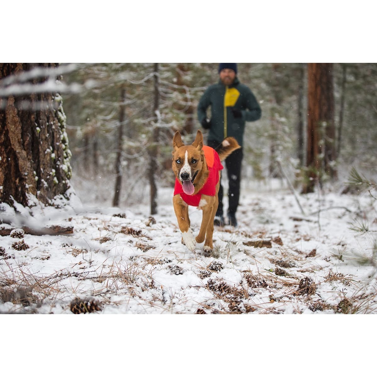 Ruffwear Vert Jacke für Hunde