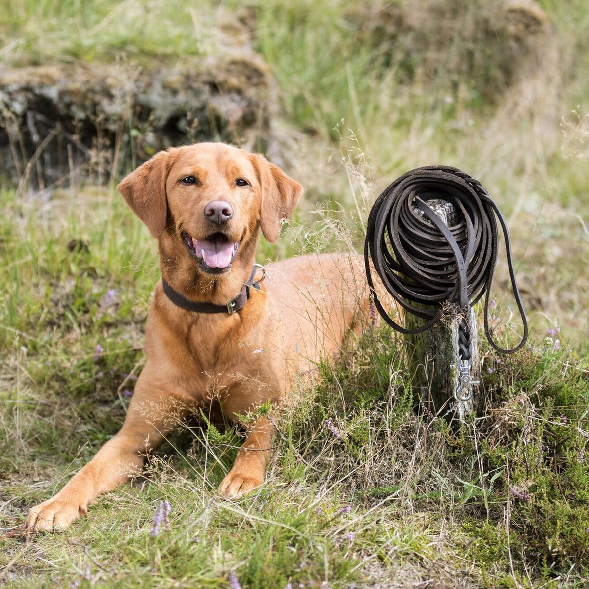 Rustic Fettleder Schleppleine für Hunde