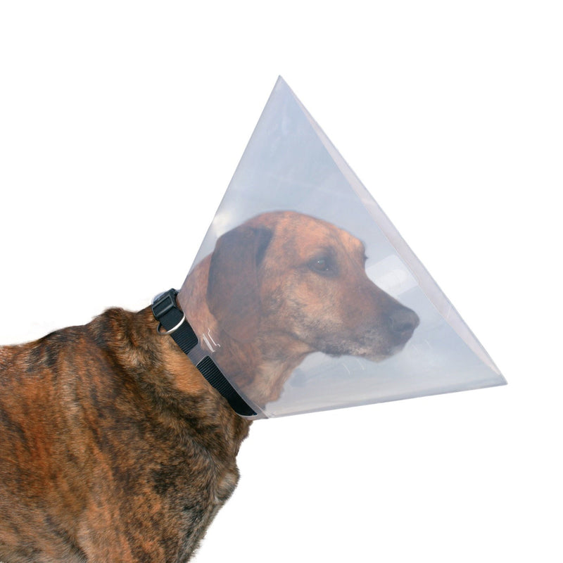 Schutzkragen für Hund und Katze