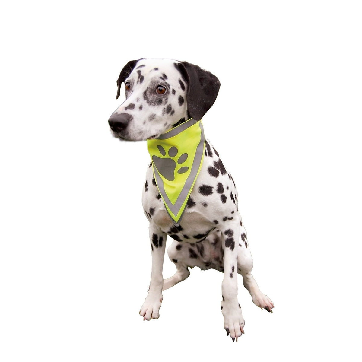 Sicherheits-Halstuch für Hunde