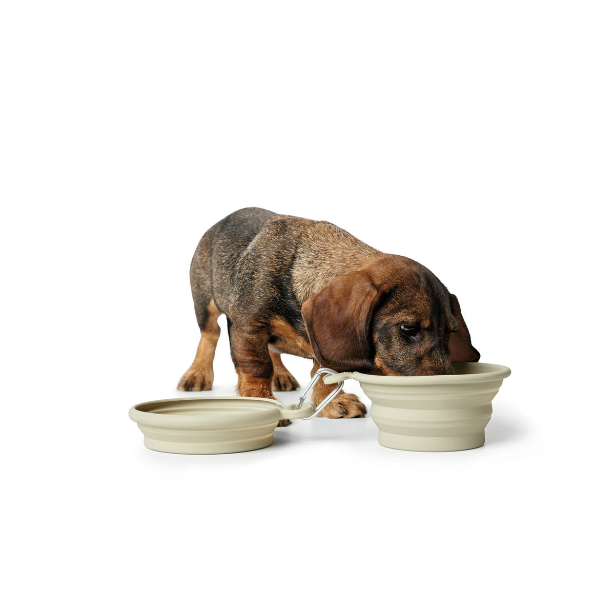 Silikon Reisenapf List für Hunde