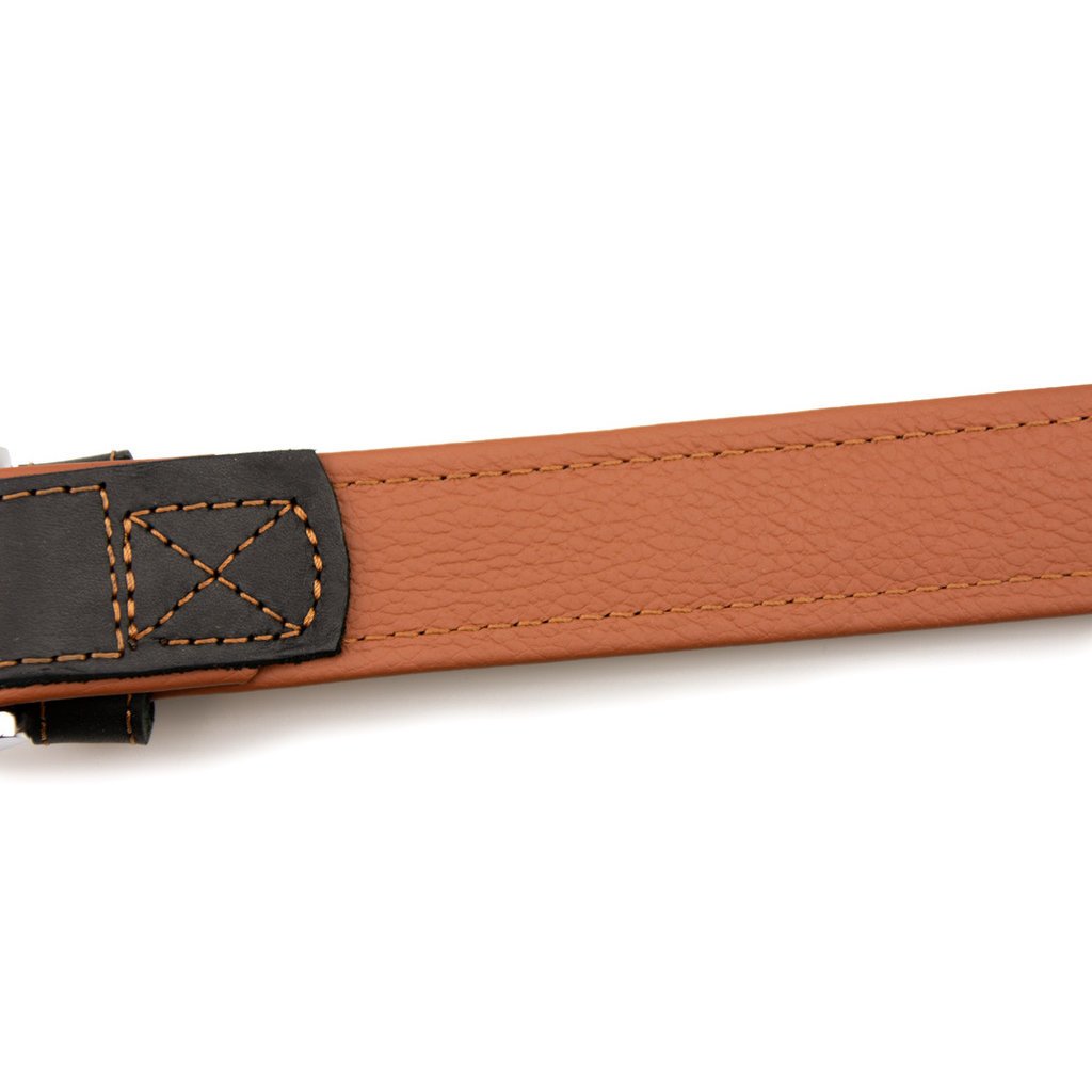Sternfalbe Lederhalsband für Hunde