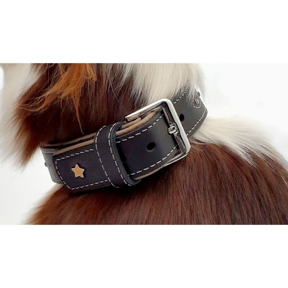 Sternfalbe Lederhalsband für Hunde