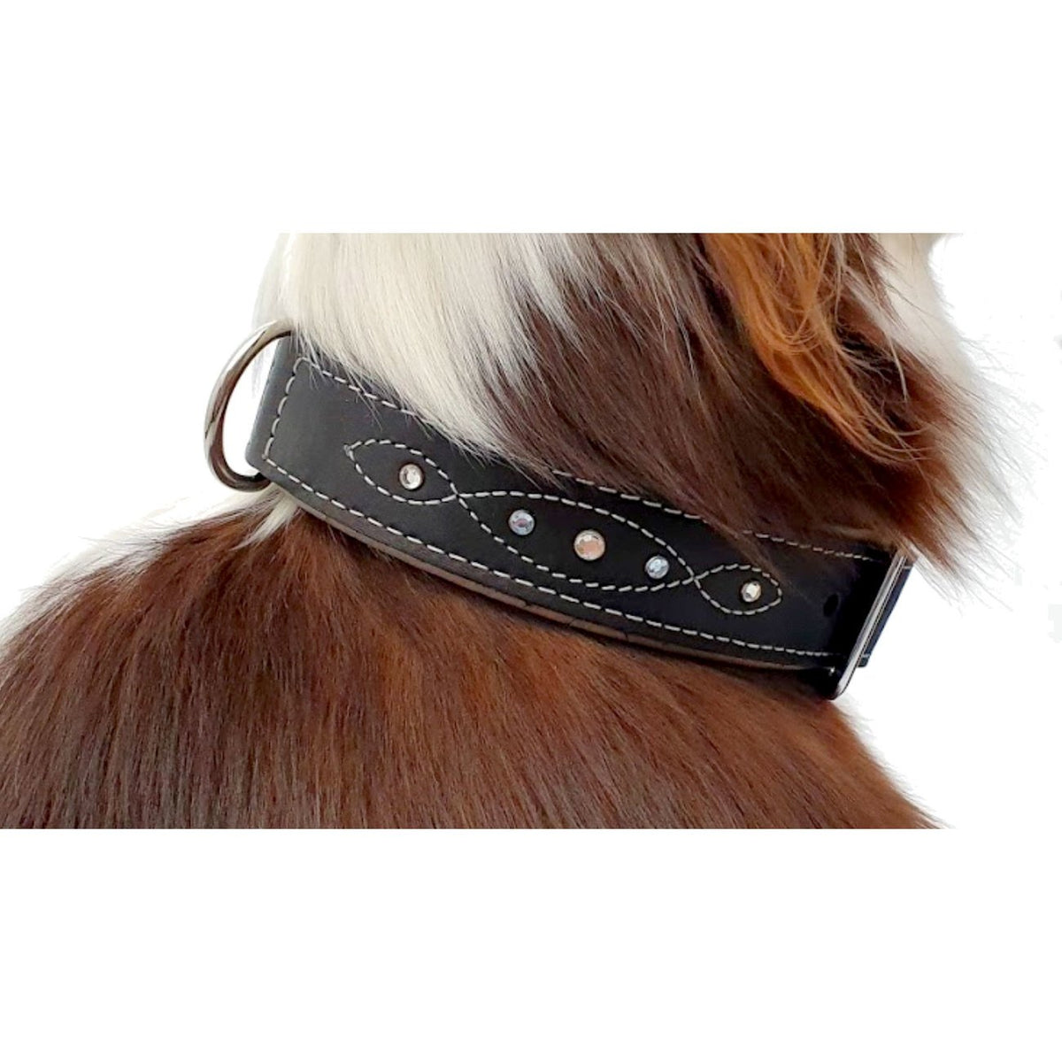 Sternfalbe Lederhalsband für Hunde