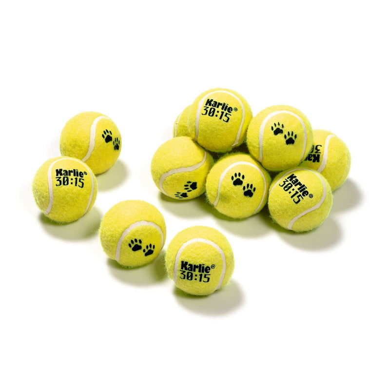 Tennisbälle für Hunde 12-er Set