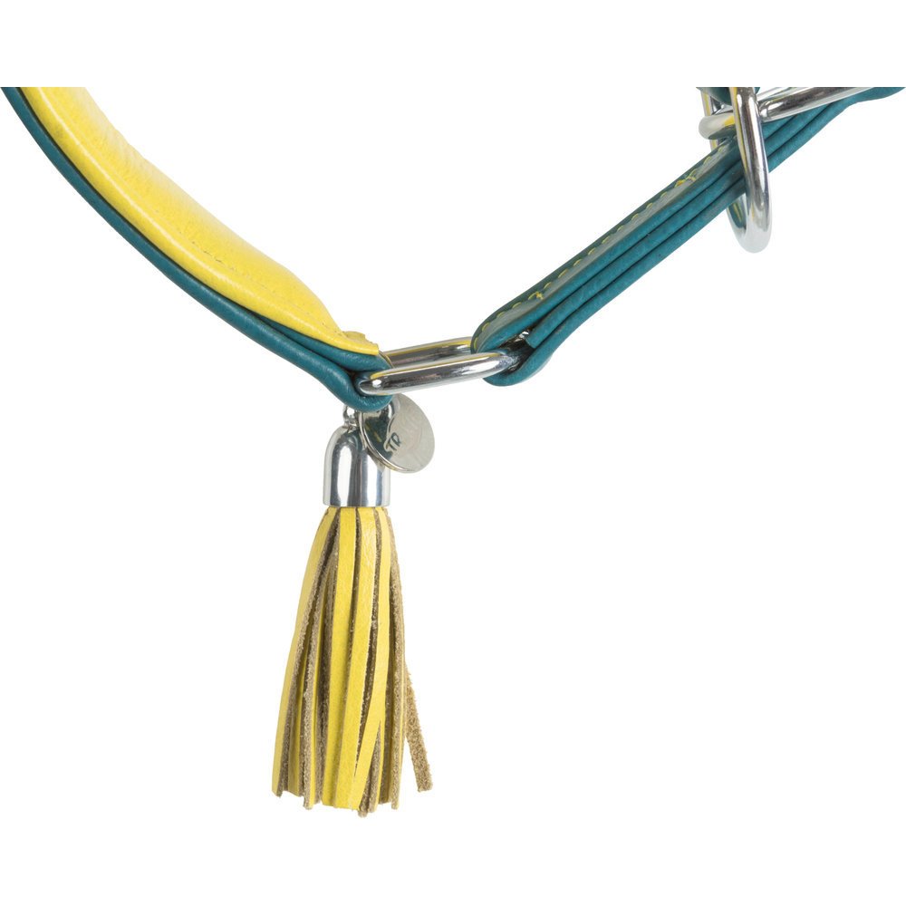 Active Comfort Windhundehalsband