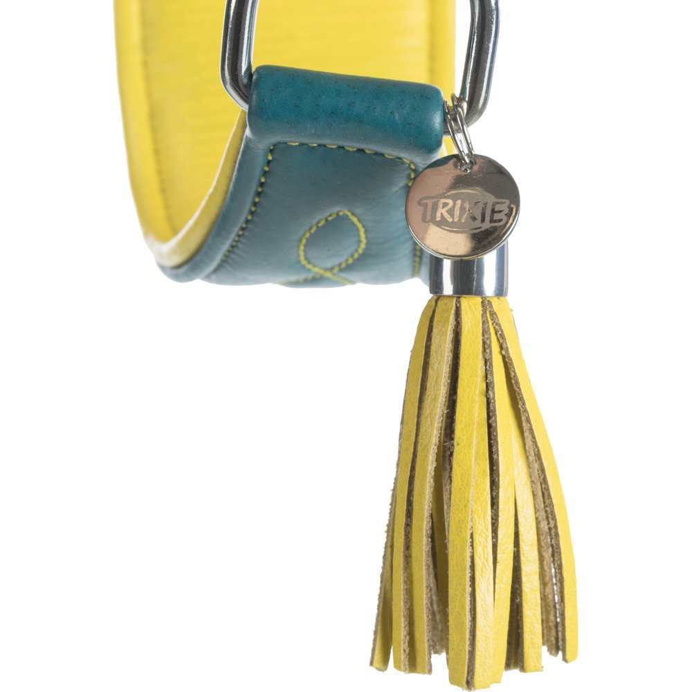 Active Comfort Windhundehalsband