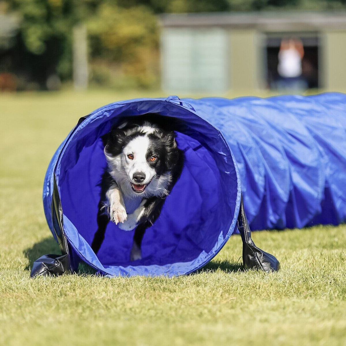 Agility Basic Tunnel