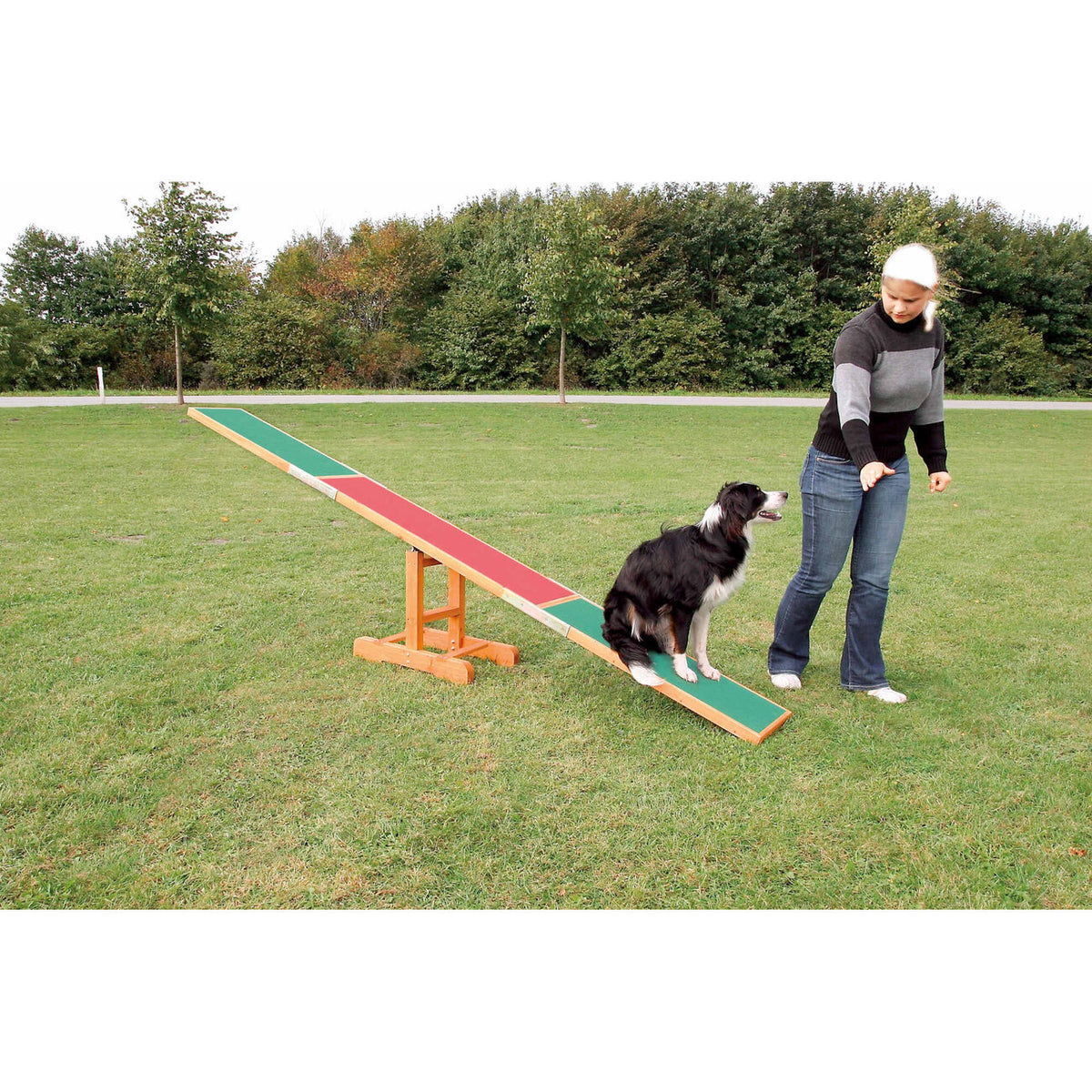 Trixie Agility Hunde Wippe
