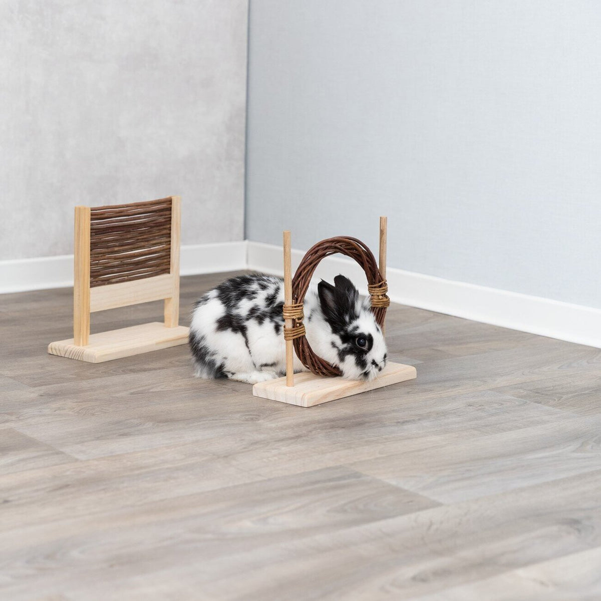 Agility Set mit Hürde und Ring für Kleintiere
