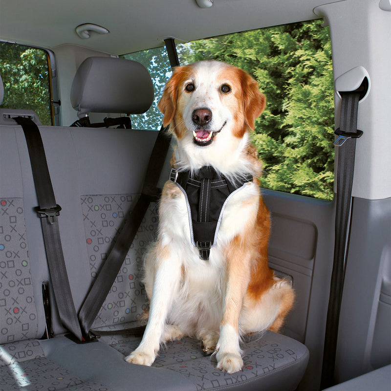 Auto Hundegeschirr Dog Protect