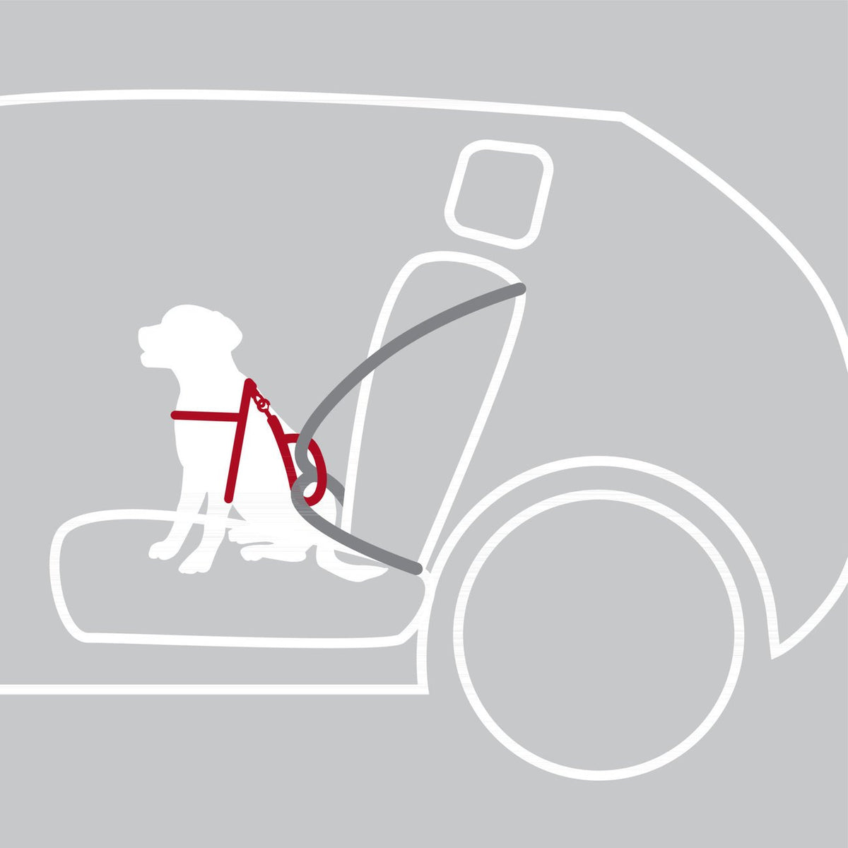 Auto Hundegeschirr Dog Protect