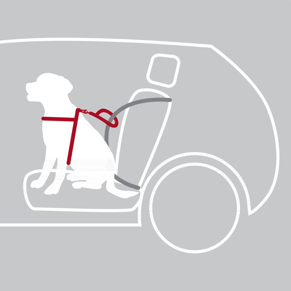 Auto Hundegeschirr Dog Protect