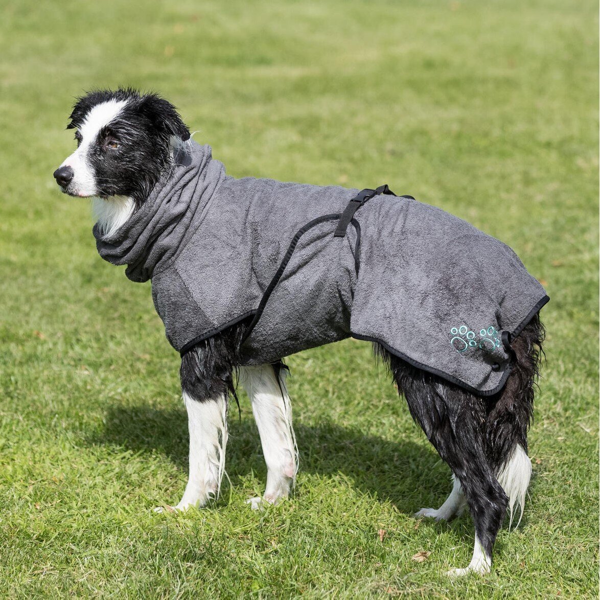 Bademantel für Hunde