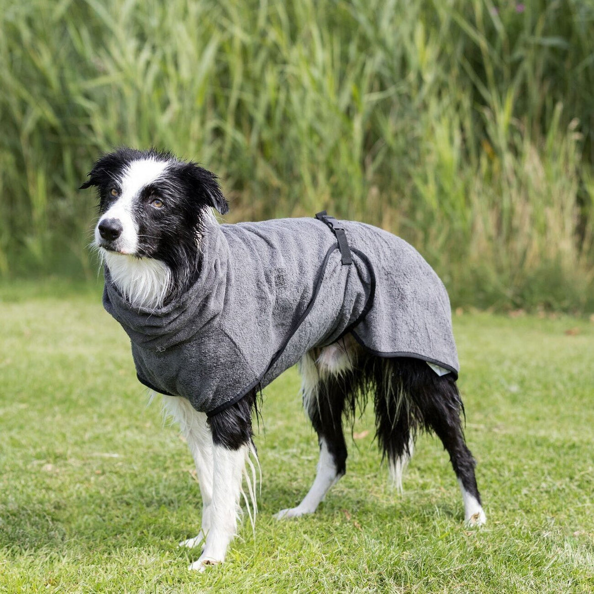Bademantel für Hunde