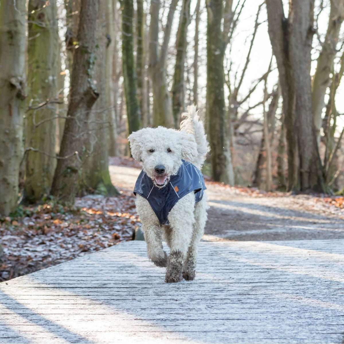 BE NORDIC Hunde Regenmantel Husum wasserdicht