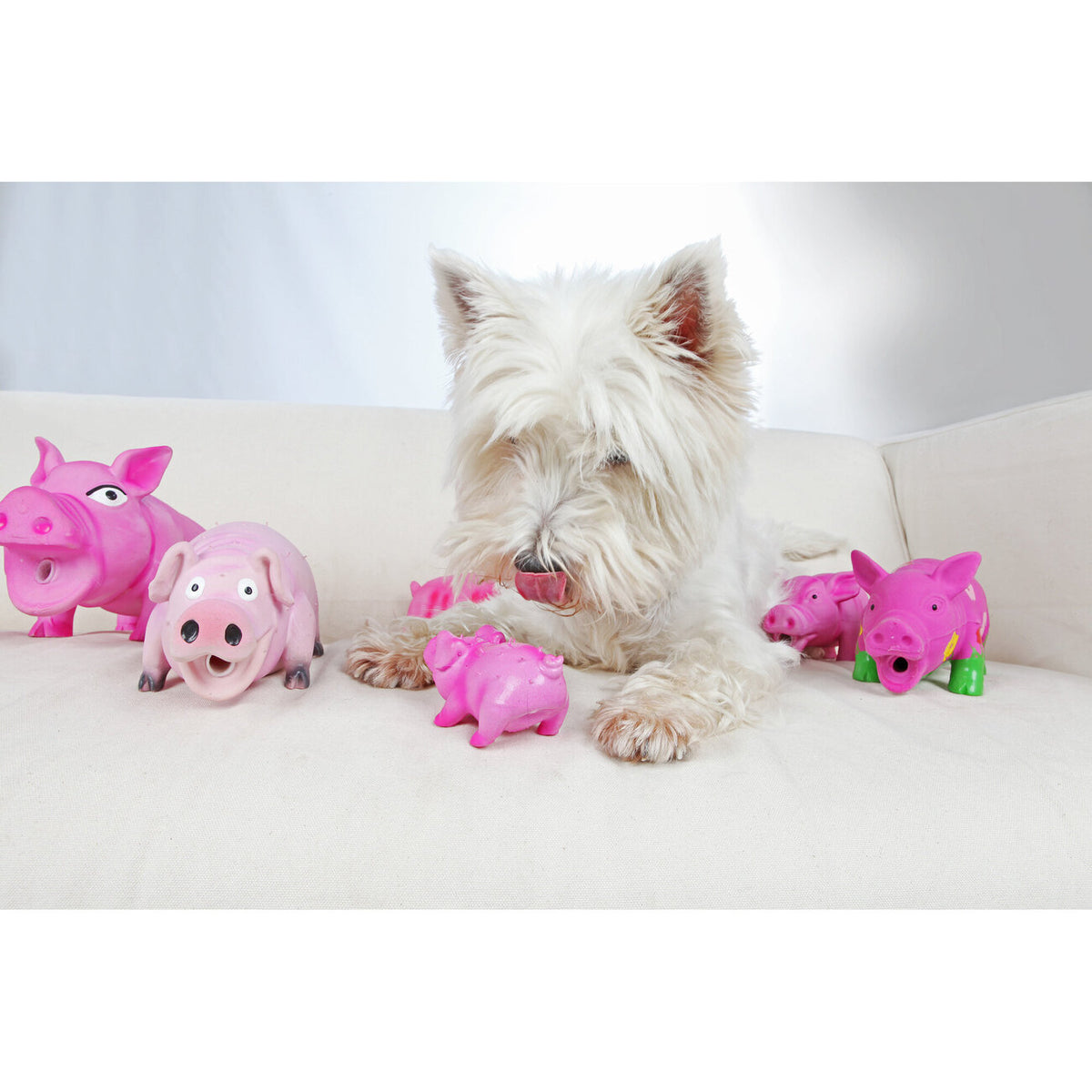 Borstenschwein für Hunde Original Tierstimme