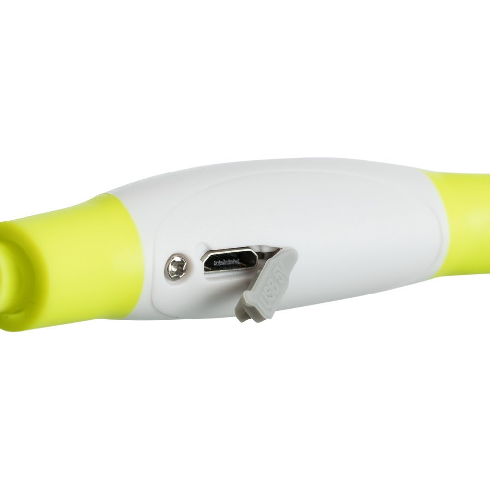 Flash Leuchtring für Hunde USB