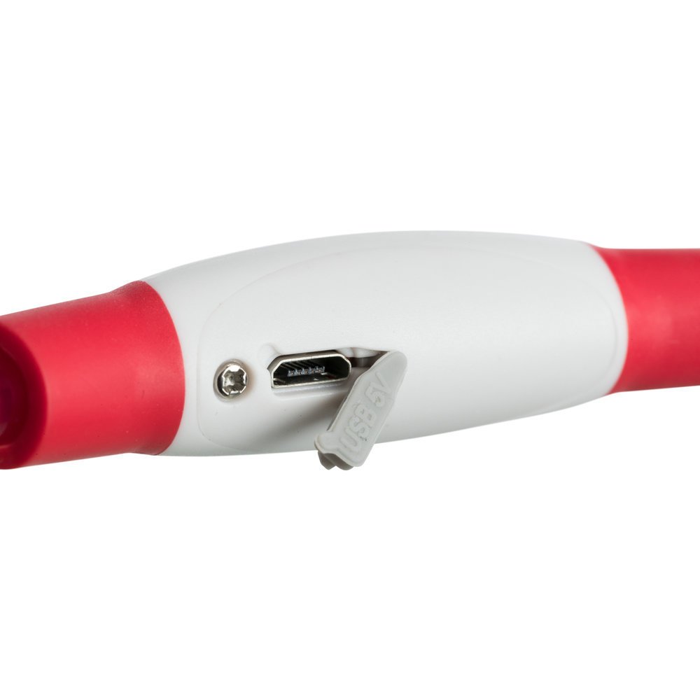 Flash Leuchtring für Hunde USB