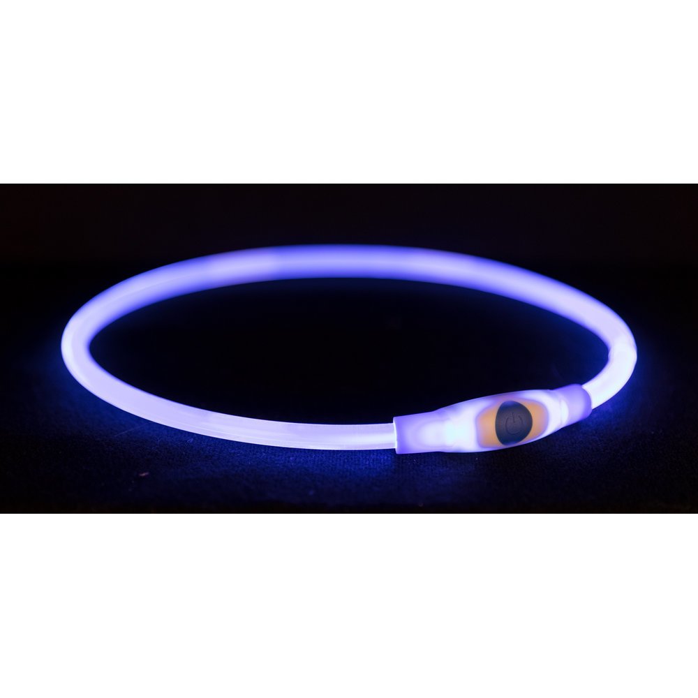 Flash Leuchtring für Hunde USB