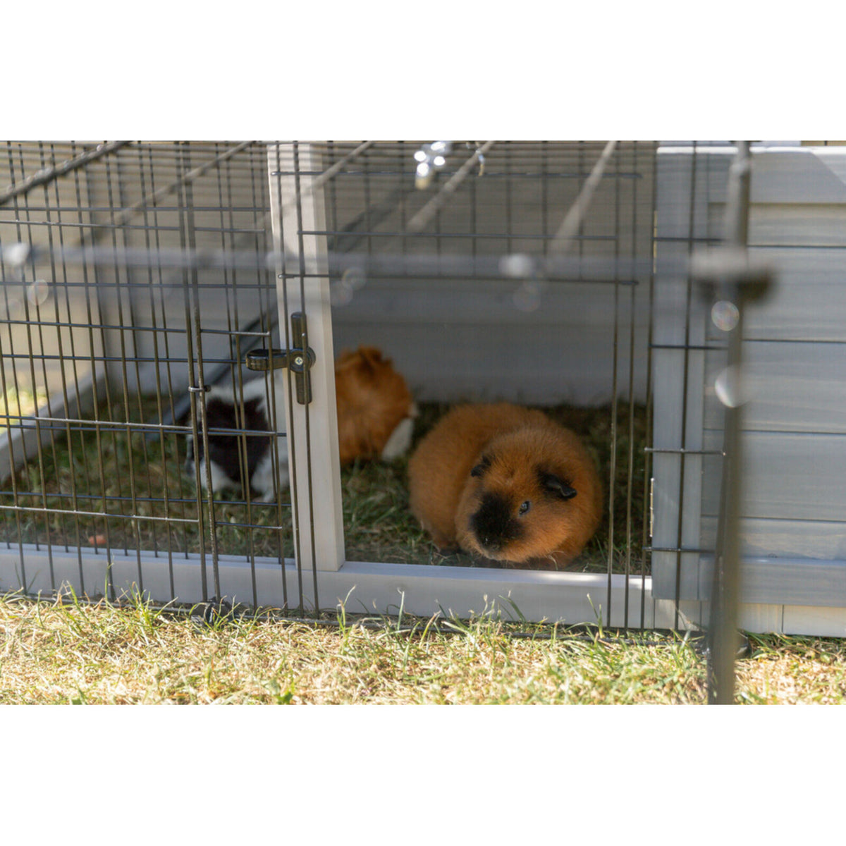 TRIXIE Freilaufgehege mit Abdeckung | Sicherer Auslauf fĂŒr Kaninchen & Meerschweinchen â 152 Ă 38 Ă 72 cm, schwarz