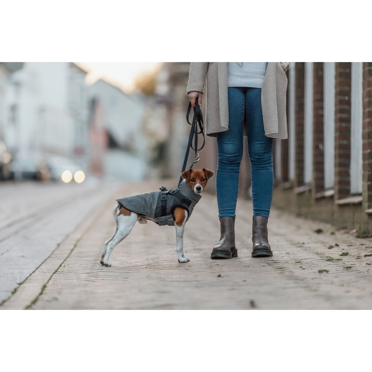 Geschirr-Wintermantel für Hunde Pontis Reflect