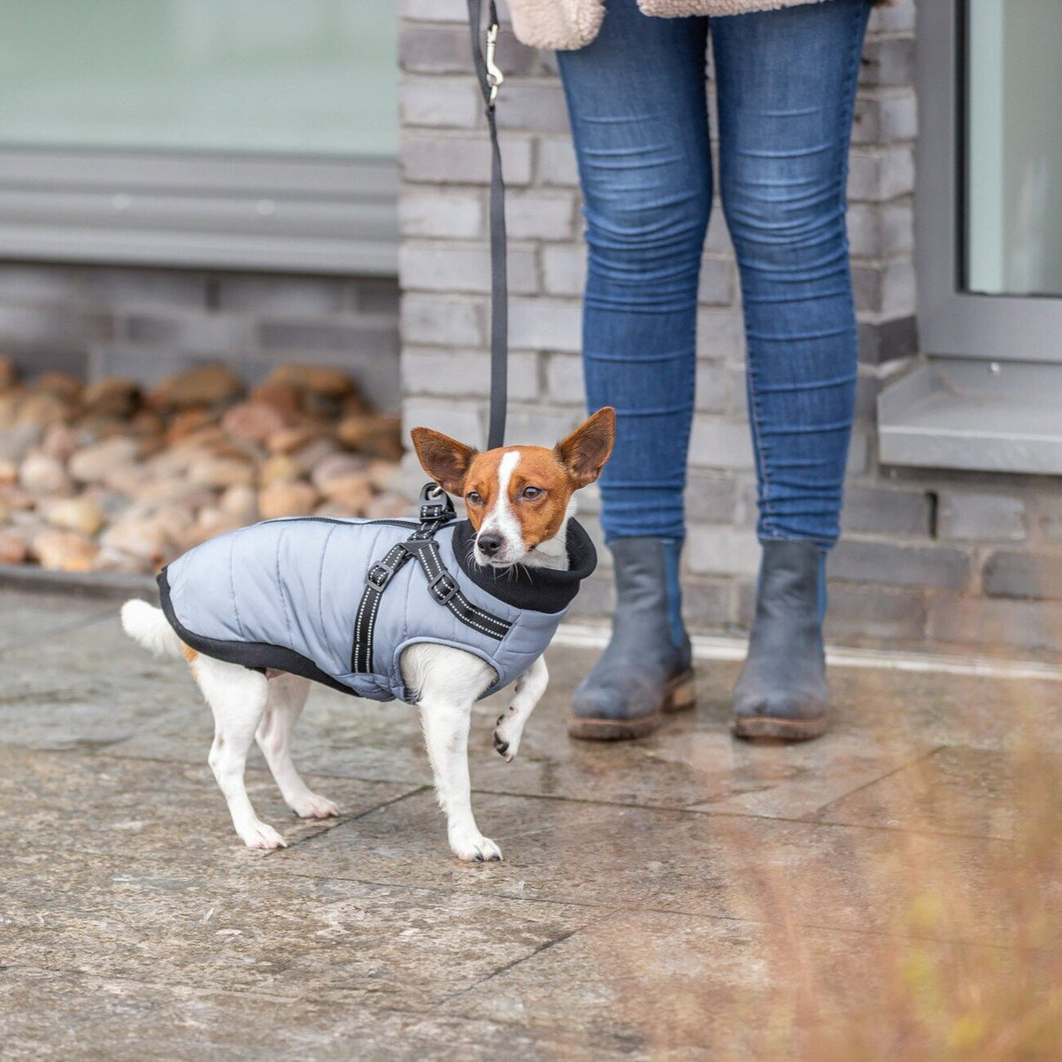 Geschirrmantel Pontis