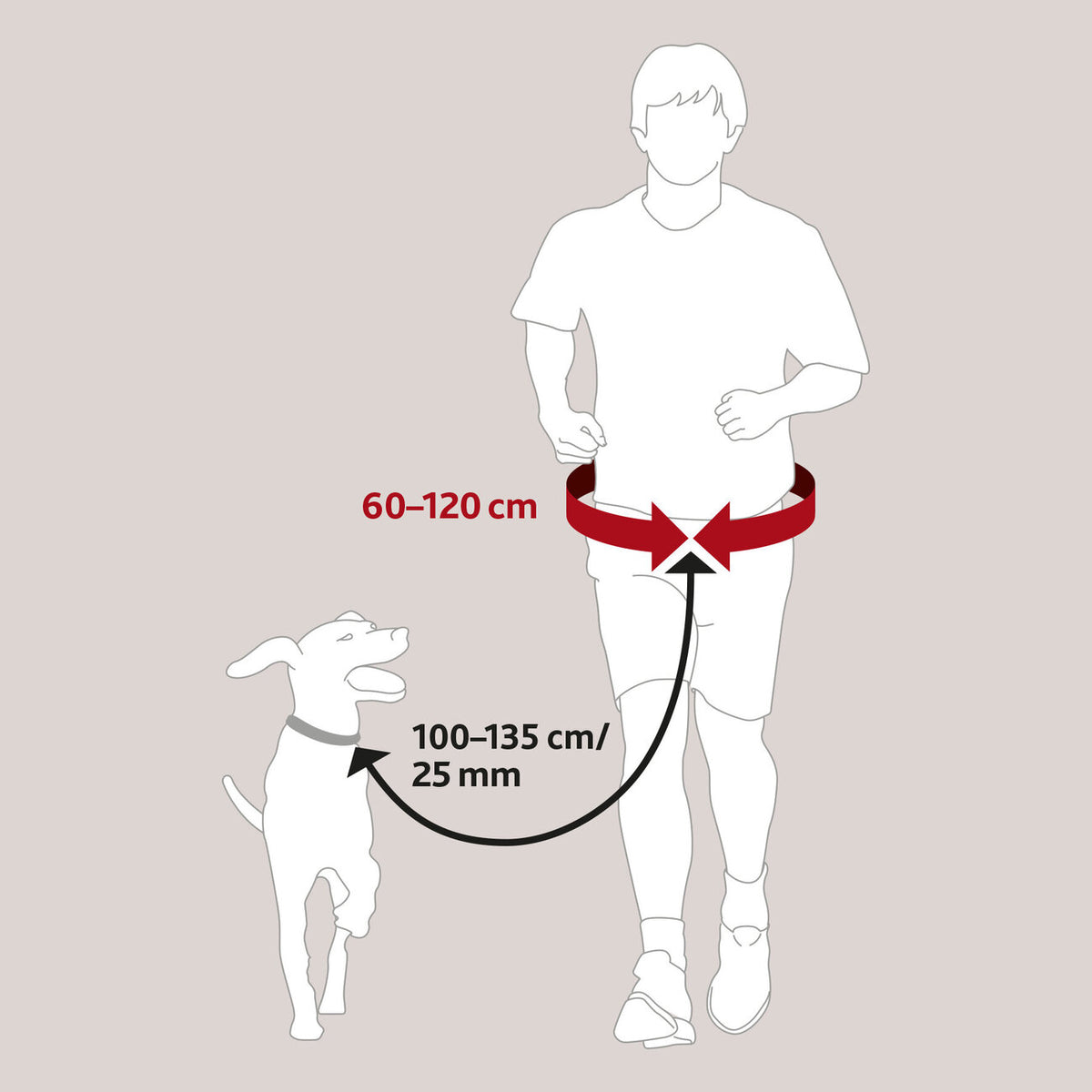 Hundeleine mit Bauchgurt, Hunde Joggingleine