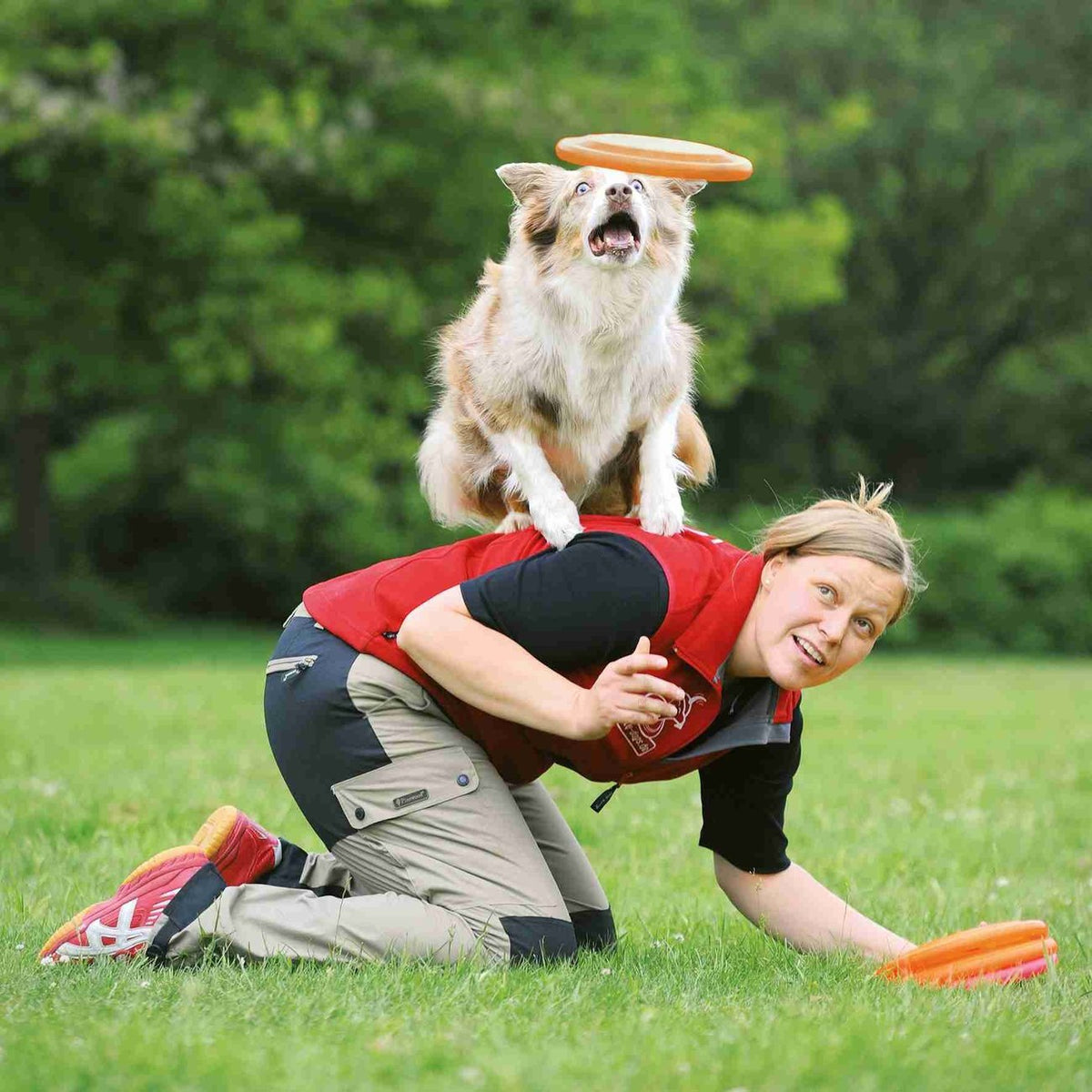 Hunde Frisbee von Karin Actun – bissfest, ø 23 cm, zufällige Farbe