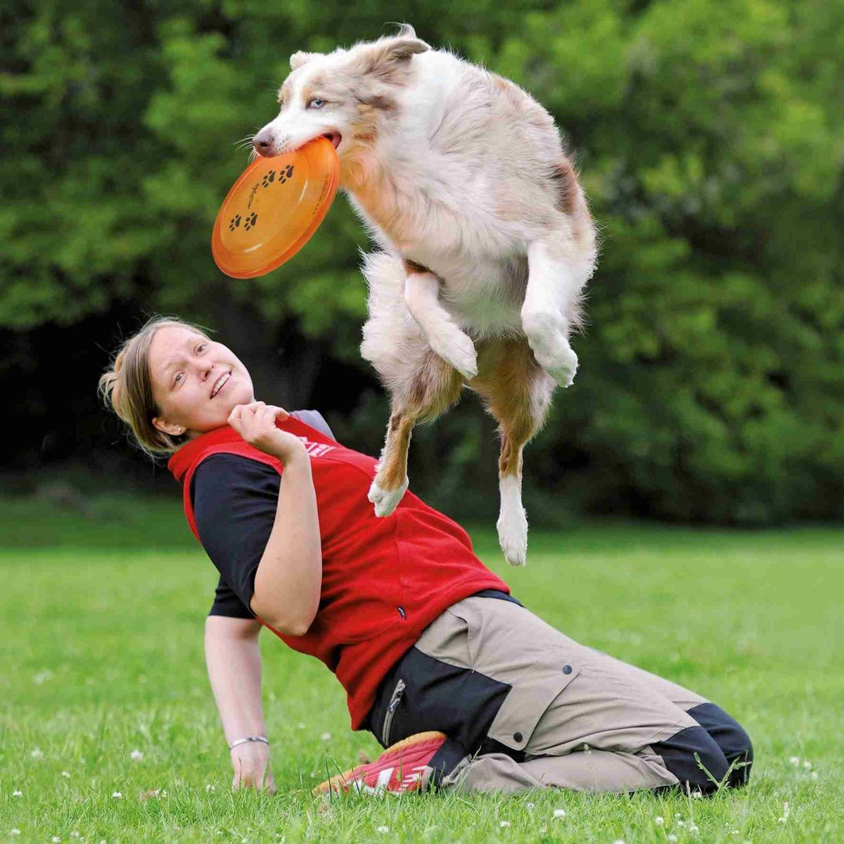 Hunde Frisbee von Karin Actun – bissfest, ø 19 cm, zufällige Farbe