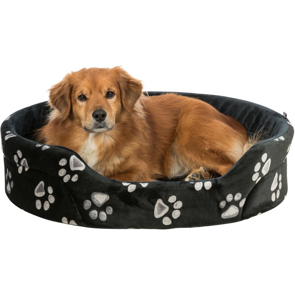 Hundebett Jimmy Softplüsch mit rutschfestem Boden