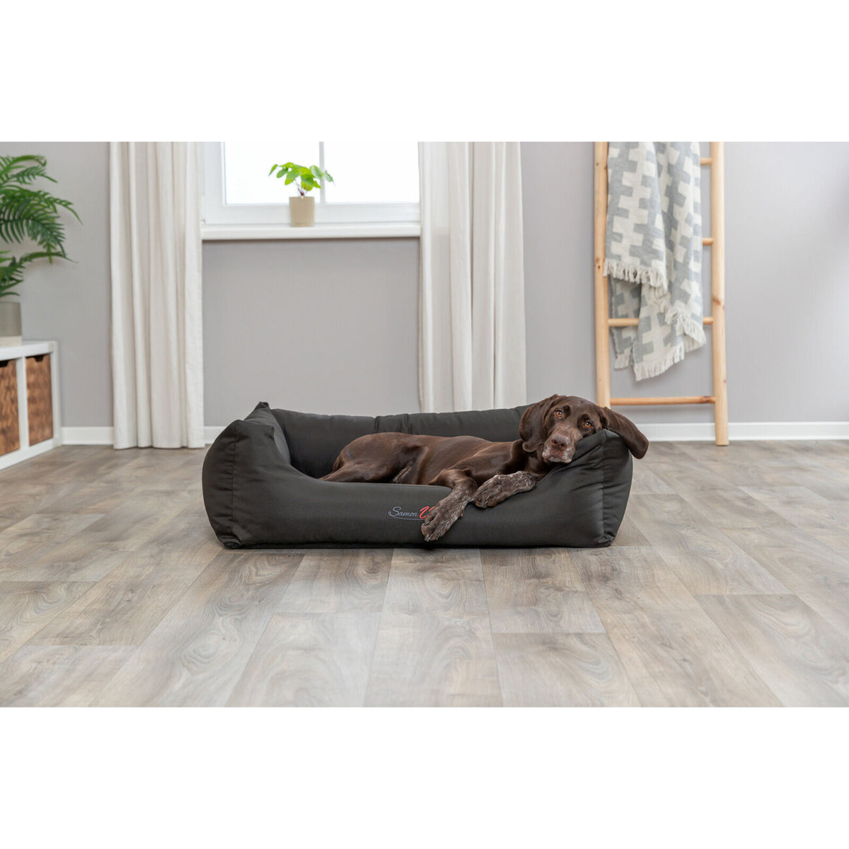Hundebett Samoa Sky Vital