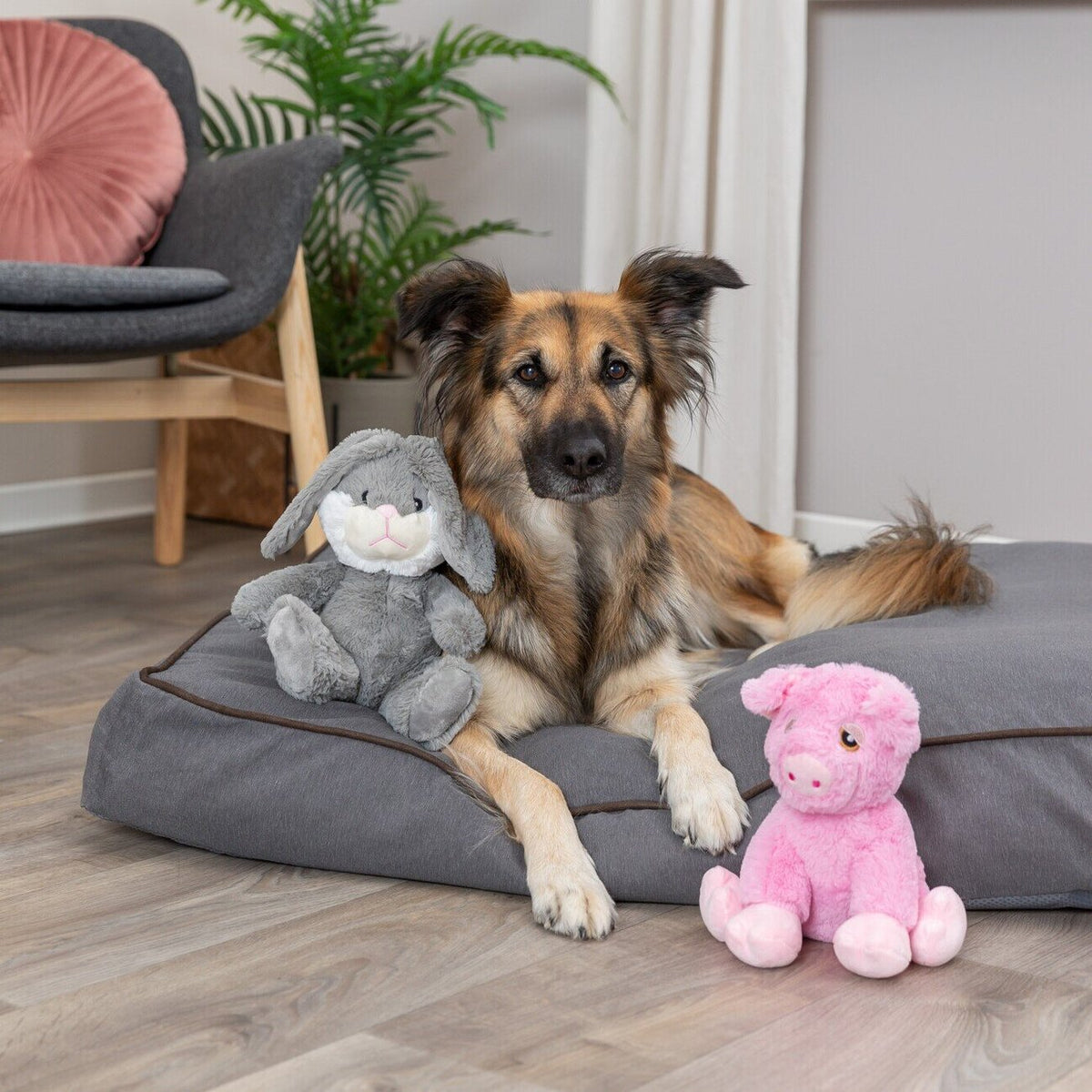 Hundekissen Talis