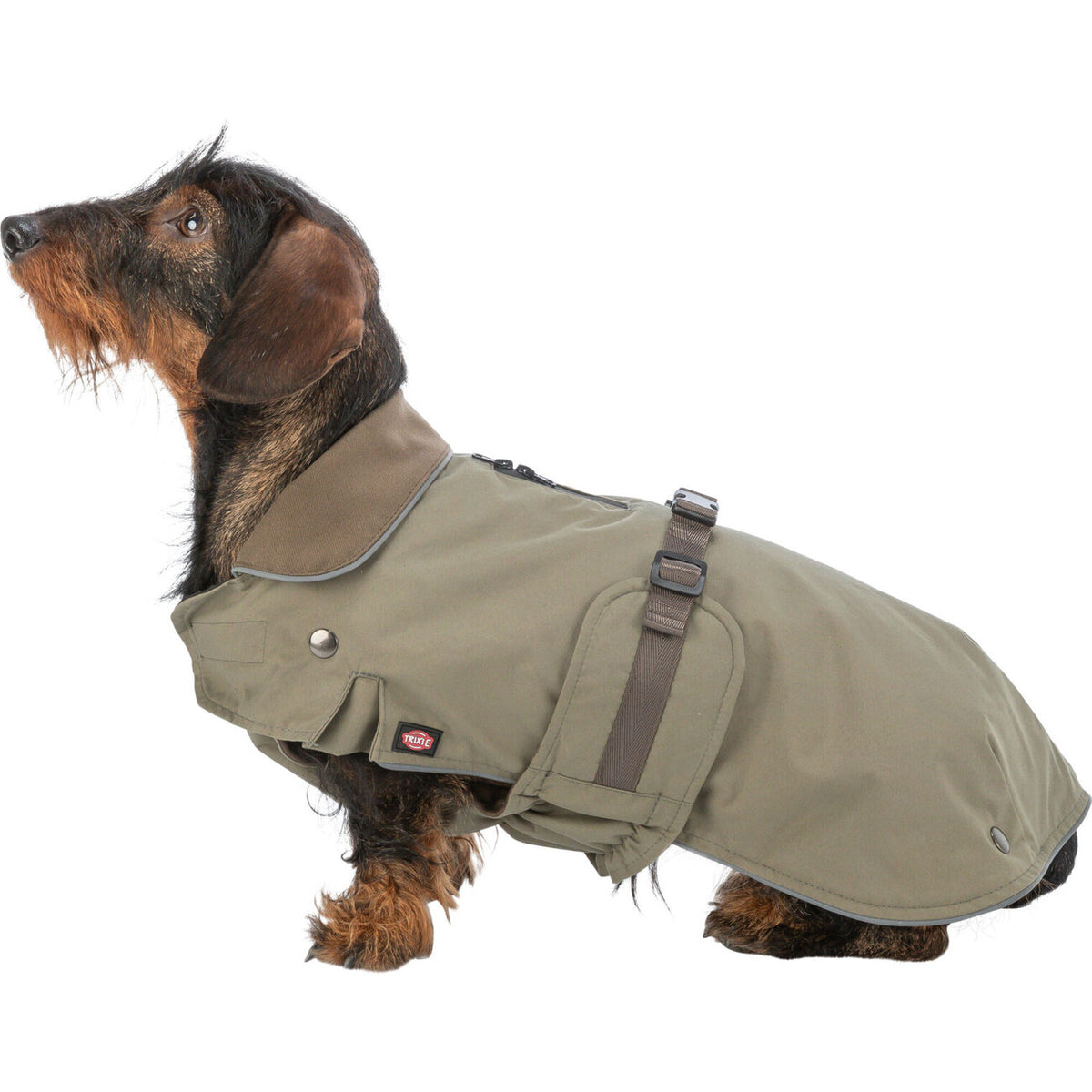 Hundemantel Hermy für schmale lange Hunde, Dackel